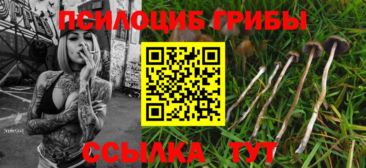 Галлюциногенные грибы Magic Shrooms Екатеринбург